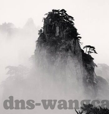 厄瓜多尔足球比分-厄瓜多尔足球，从南美劲旅到世界舞台的华丽转身，比分背后的热血与荣耀